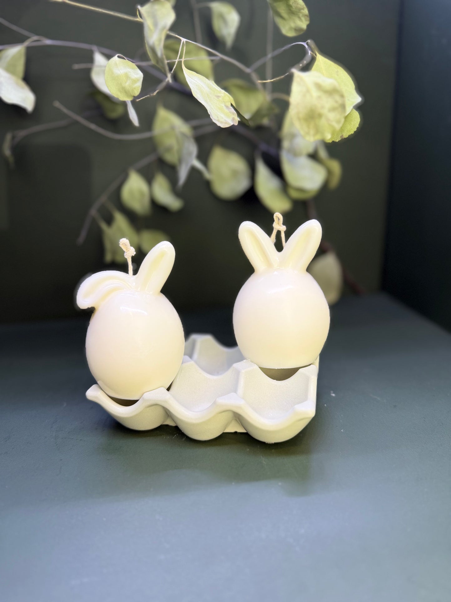 Sweet Bunny Duo 🤍