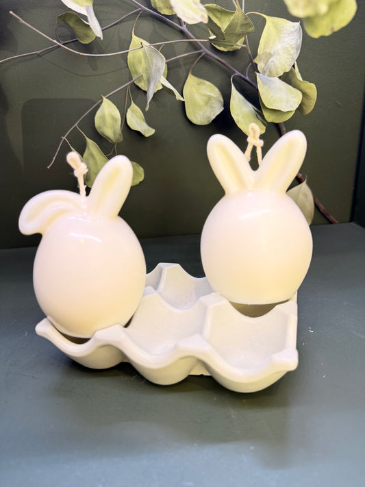 Sweet Bunny Duo 🤍