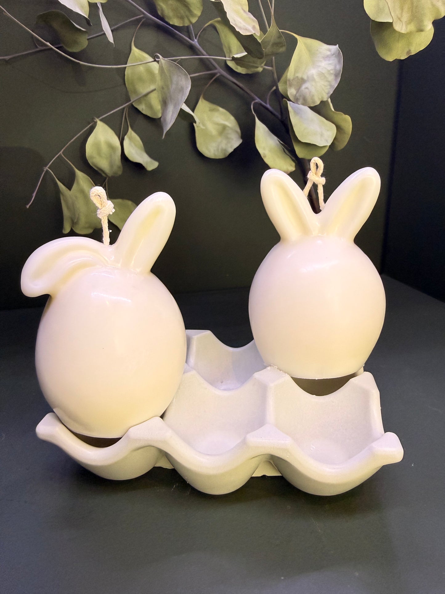 Sweet Bunny Duo 🤍